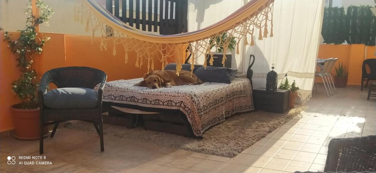 Apartmán La Casita De Celia Alicante Exteriér fotografie